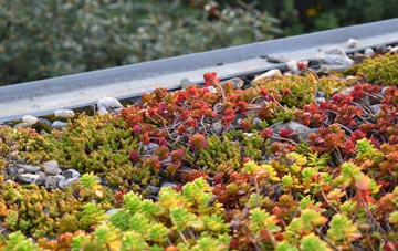 the cost of Hyde Lea green roof installation
