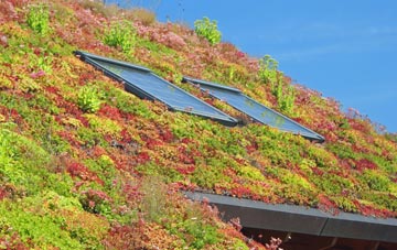 Hyde Lea living roof systems